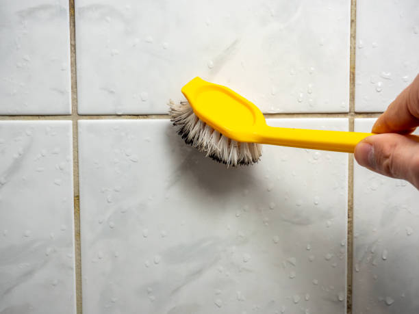 Mold Removal Process in Claypool, AZ