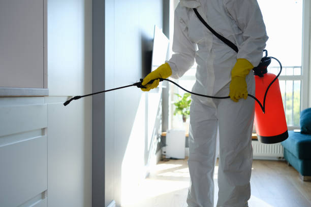 Best Mold Damage Repair  in Claypool, AZ