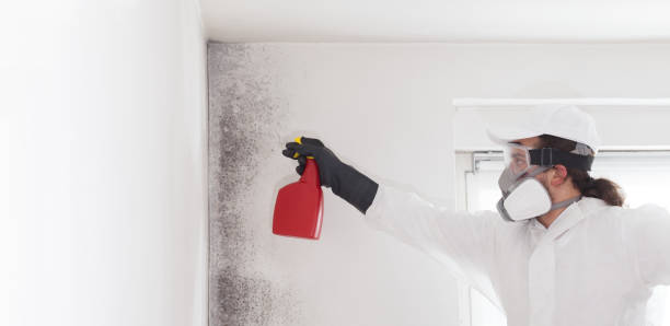 Best Crawl Space Mold Removal  in Claypool, AZ