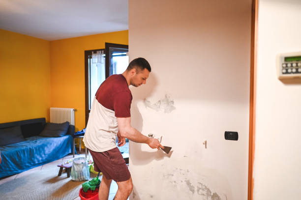 Best Mold Remediation Services  in Claypool, AZ